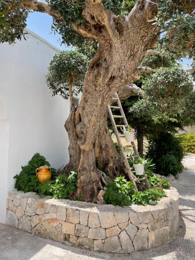 Il Trullo Di Nonno Licchio Villa Alberobello Eksteriør bilde