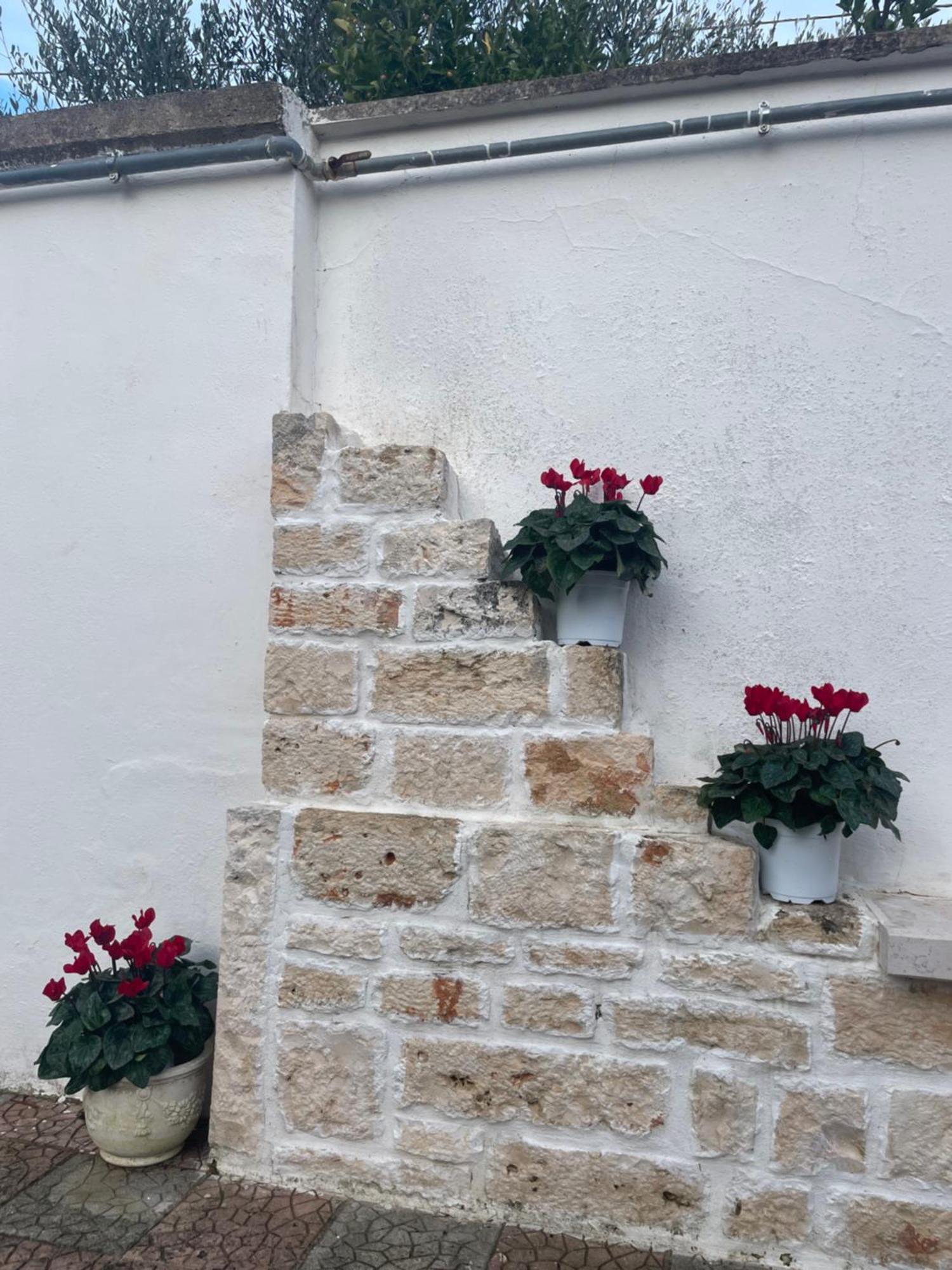 Il Trullo Di Nonno Licchio Villa Alberobello Eksteriør bilde